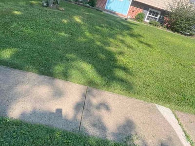 Lawn Care service in Bel Air, 21014