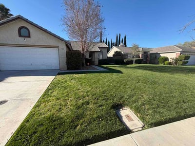 Lawn Care service in Arcadia, 91007