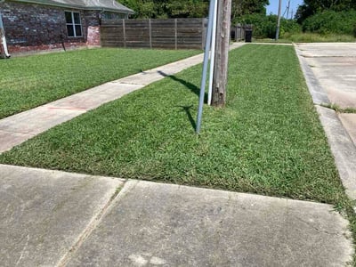 Lawn Care service in Belle Chasse, 70037