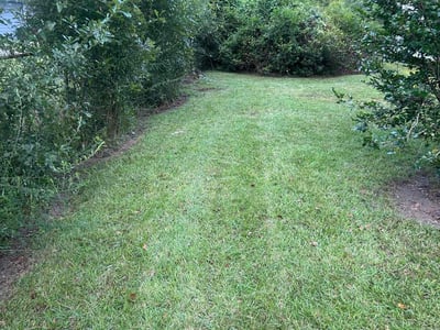 Lawn Care service in Belle Chasse, 70037