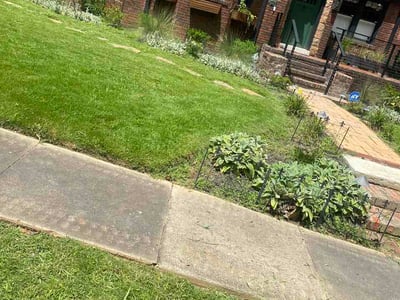 Lawn Care service in Irondale, 35210