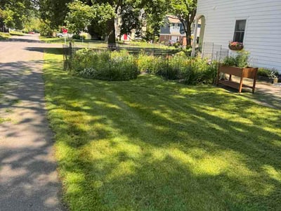 Lawn Care service in Delmar, 12054