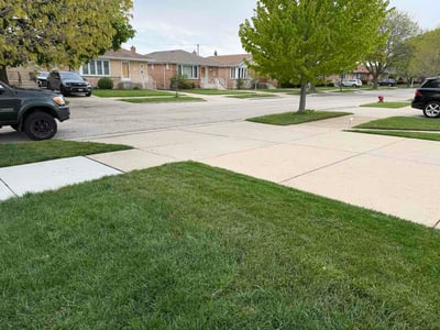 Lawn Care service in Lake In The Hills, 60156