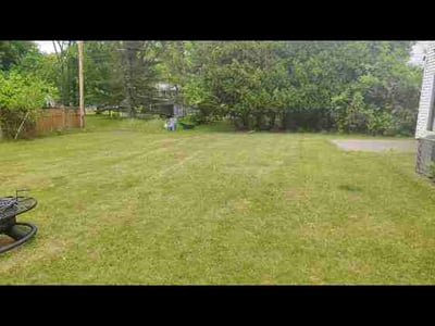 Lawn Care service in Delmar, 12054