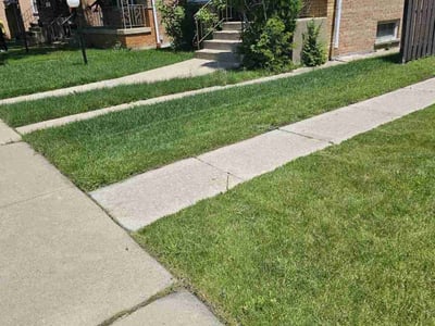 Lawn Care service in Lake In The Hills, 60156