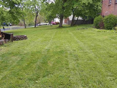 Lawn Care service in Troy, 12180