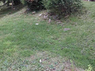 Lawn Care service in Nutley, 07110