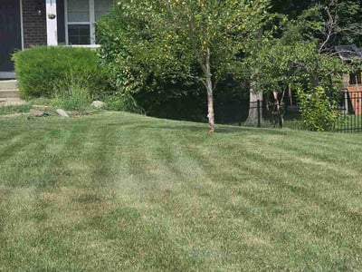 Lawn Care service in Martinsville, 46151
