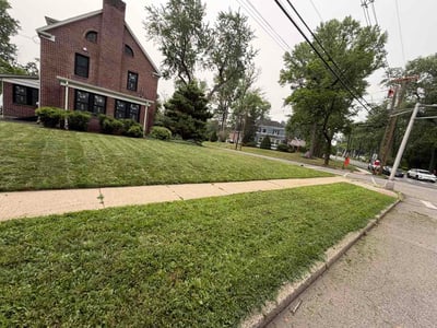 Lawn Care service in Hackensack, 07601