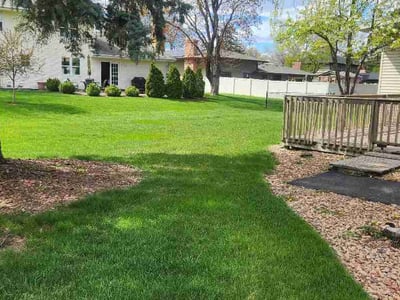 Lawn Care service in Roseville, 55113