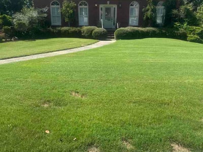 Lawn Care service in Homewood, 35209