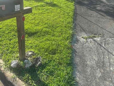 Lawn Care service in Homewood, 35209