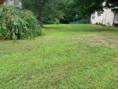 Lawn Care service in Acworth, 30101
