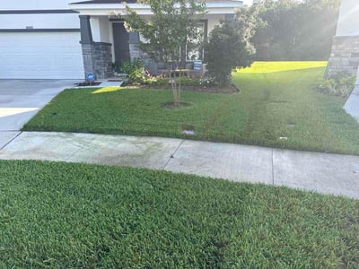 Lawn Care service in Summerlin, 89134