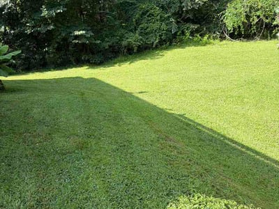 Lawn Care service in Summerlin, 89134