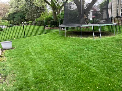 Lawn Care service in West Chicago, 60185