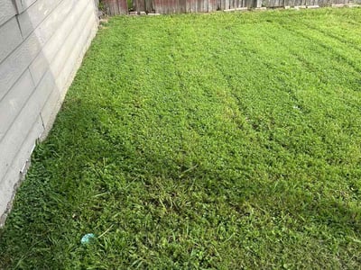 Lawn Care service in Mesa, 85201
