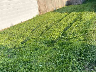 Lawn Care service in Zion, 60099