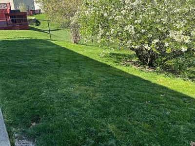 Lawn Care service in Zionsville, 46077