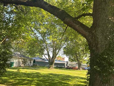Lawn Care service in Zionsville, 46077