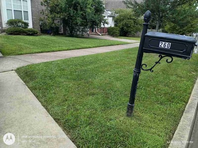 Lawn Care service in Lexington, 40508