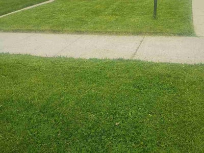 Lawn Care service in Oswego, 60543