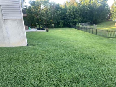Lawn Care service in Pacific, 63069