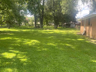 Lawn Care service in Baton Rouge, 70802