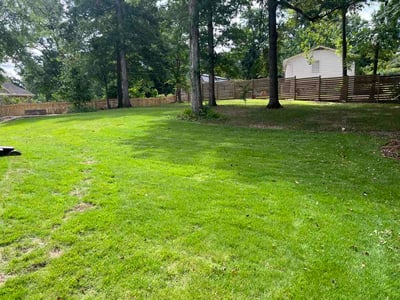 Lawn Care service in Vestavia Hills, 35216