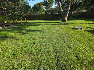Lawn Care service in Waterloo, 64097