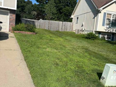 Lawn Care service in Waterloo, 64097
