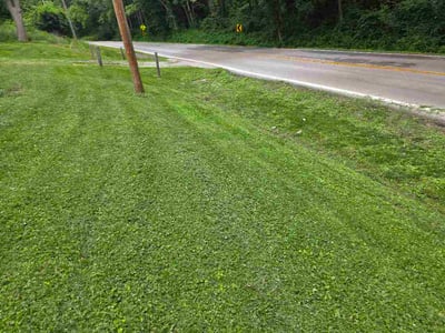 Lawn Care service in Council Bluffs, 51501