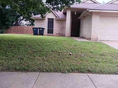 Lawn Care service in Hempstead, 11550