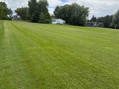 Lawn Care service in Sanborn, 14132