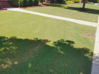 Lawn Care service in Owens Cross Roads, 35763