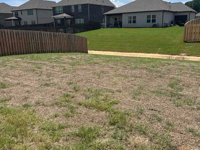 Lawn Care service in Owens Cross Roads, 35763