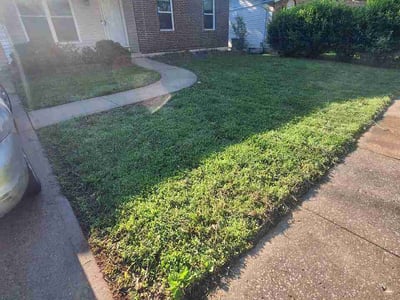 Lawn Care service in Fenton, 63026