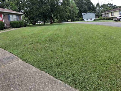 Lawn Care service in Pinson, 35126