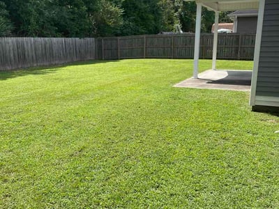 Lawn Care service in Benton, 72015