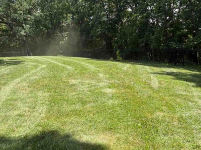 Lawn Care service in Dyer, 46311