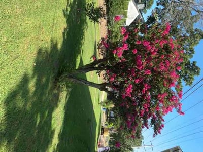 Lawn Care service in Benton, 72015