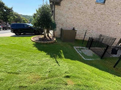 Lawn Care service in Suwanee, 30024