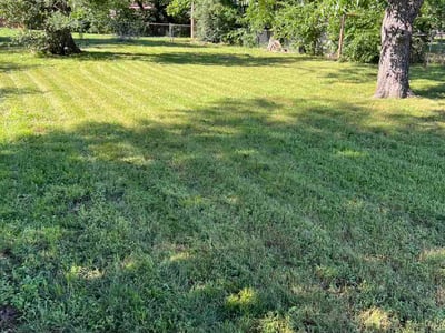 Lawn Care service in Inland Empire, 92262