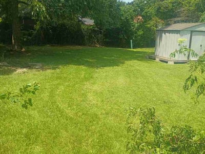 Lawn Care service in Livingston, 70754