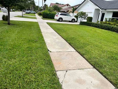 Lawn Care service in West Palm Beach, 33401
