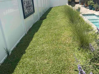 Lawn Care service in West Palm Beach, 33401