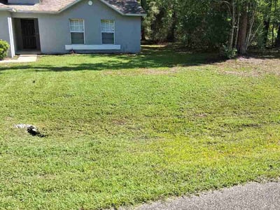Lawn Care service in West Palm Beach, 33401