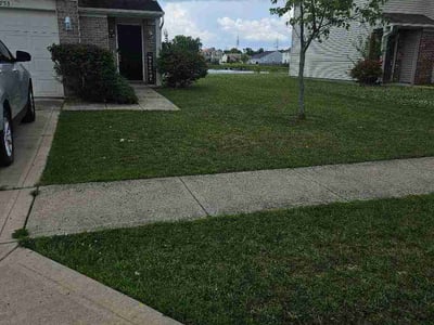 Lawn Care service in Indianapolis, 46204