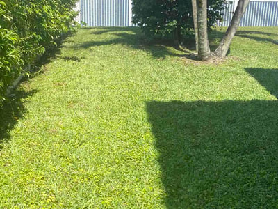 Lawn Care service in Miramar, 33025
