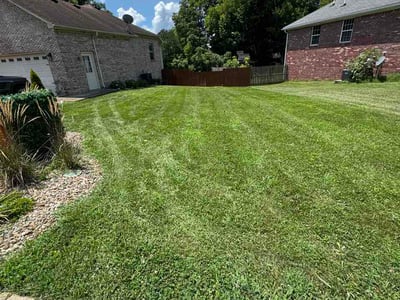 Lawn Care service in Shepherdsville, 40165